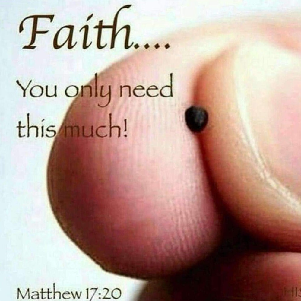 Mustard Seed of Faith Necklace - Nicki Lynn Jewelry