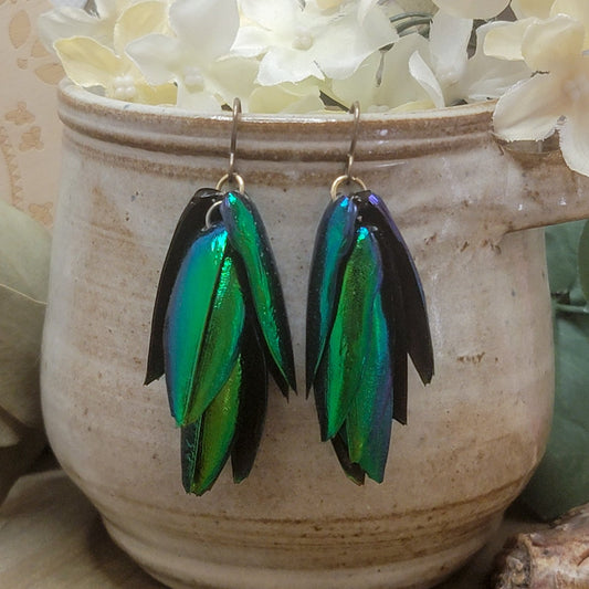 Green and Blue Jewel Beetle Wing Earrings, Nicki Lynn Jewelry 